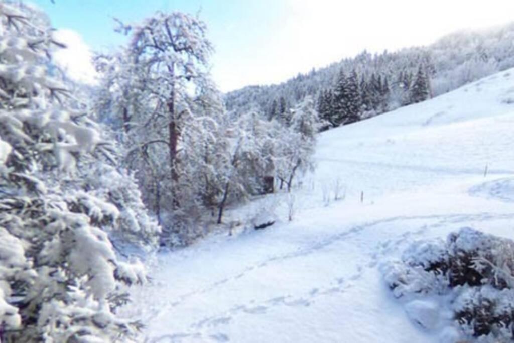 Les Cimes, Chaleureux Studio 4 Pers, 50M Du Telecabine, Vue Degagee Sur Les Pistes, Draps Non Compris Saint-Jean-dʼAulps Buitenkant foto