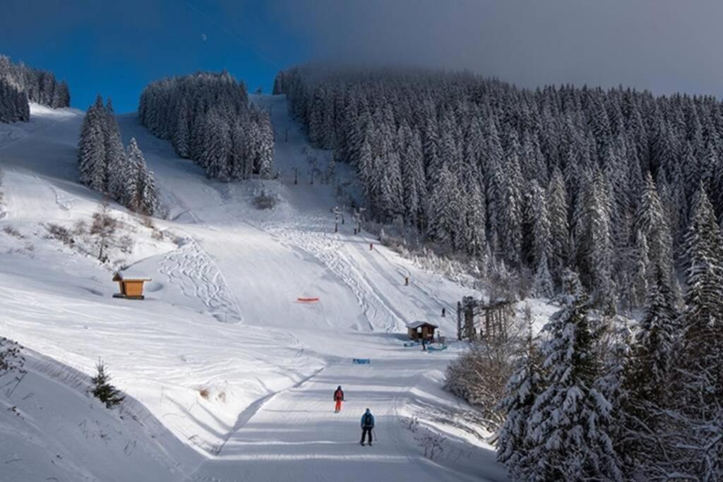 Les Cimes, Chaleureux Studio 4 Pers, 50M Du Telecabine, Vue Degagee Sur Les Pistes, Draps Non Compris Saint-Jean-dʼAulps Buitenkant foto